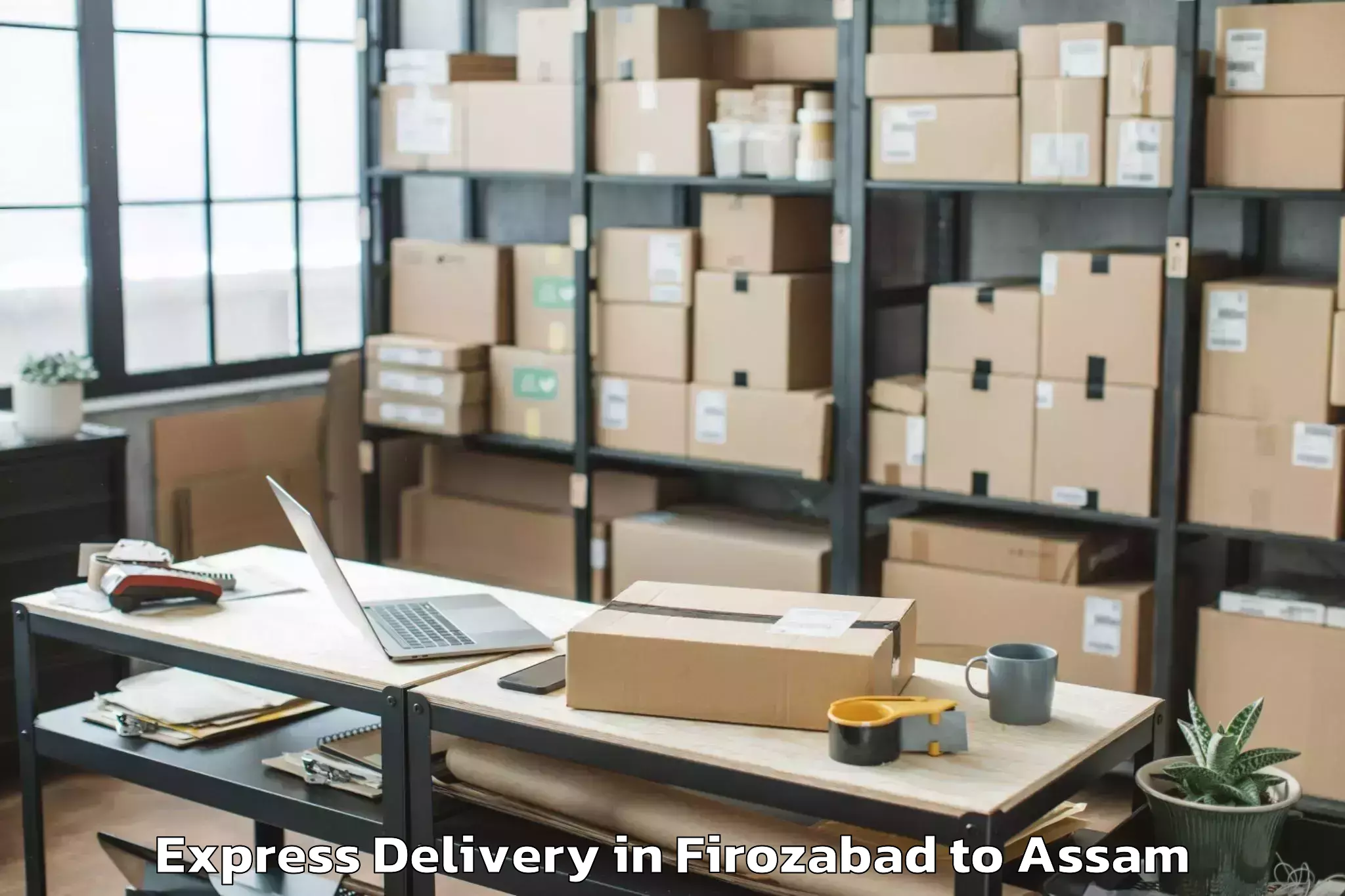 Professional Firozabad to Sissiborgaon Express Delivery